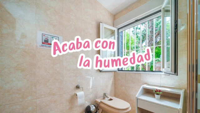 De esta manera terminas con la humedad en casa