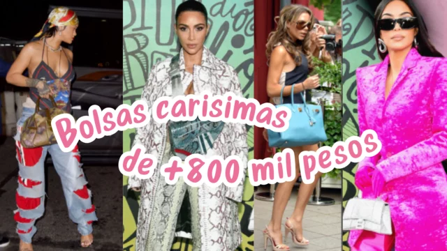 Estas celebridades gastan millones en bolsas de lujo